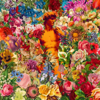 Spring Sounds (Single)