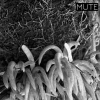 MUTE (Single)