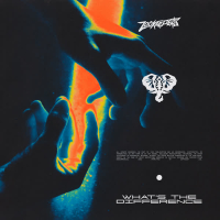 What's the Difference (Single)