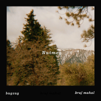 Nutmeg (Single)