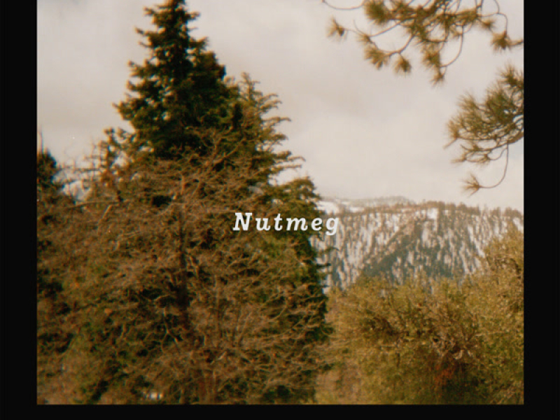 Nutmeg (Single)