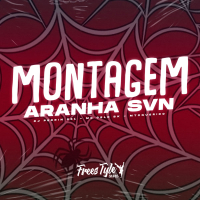 Montagem Aranha SVN (Single)
