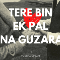 TERE BIN EK PAL NA GUZARA (Single)