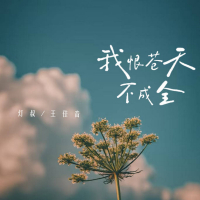 我恨苍天不成全 (我们都做了感情中最努力的人) (Single)