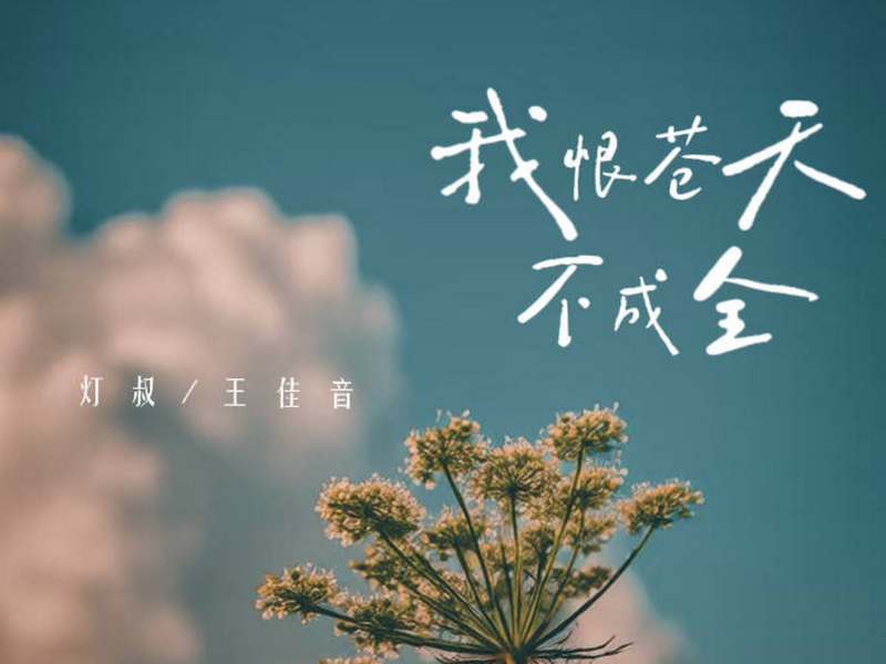 我恨苍天不成全 (我们都做了感情中最努力的人) (Single)