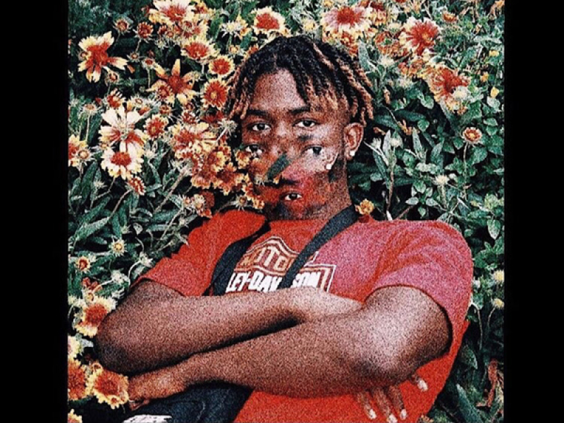 Fruitless Grapevine (EP)