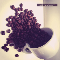 not in a hurry (Single)