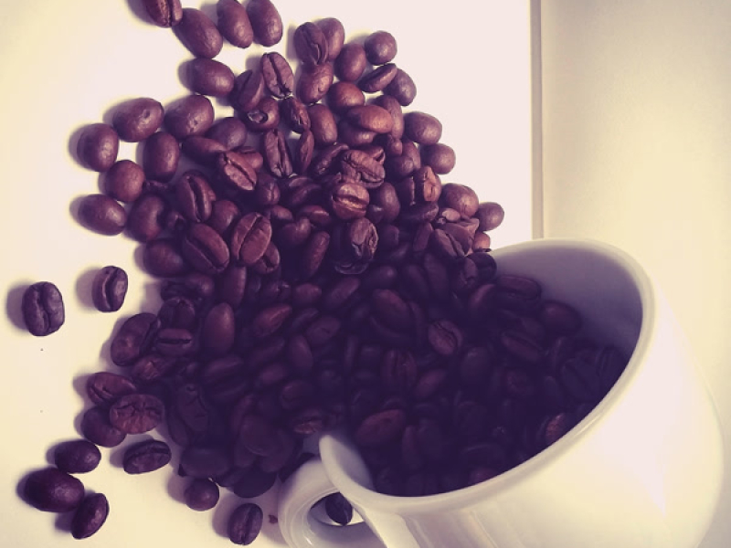 not in a hurry (Single)