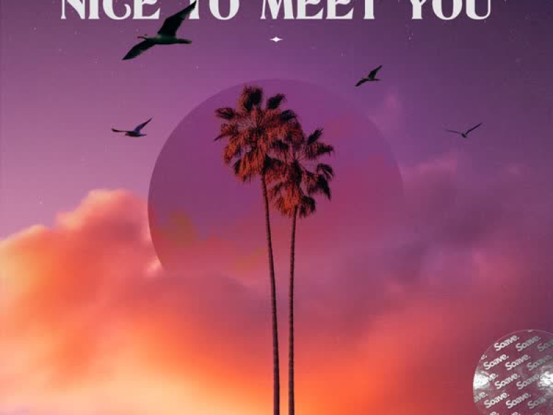 Nice To Meet You (Single)