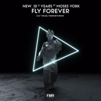 Fly Forever (O.B & Mikael Weermets Remix) (Single)
