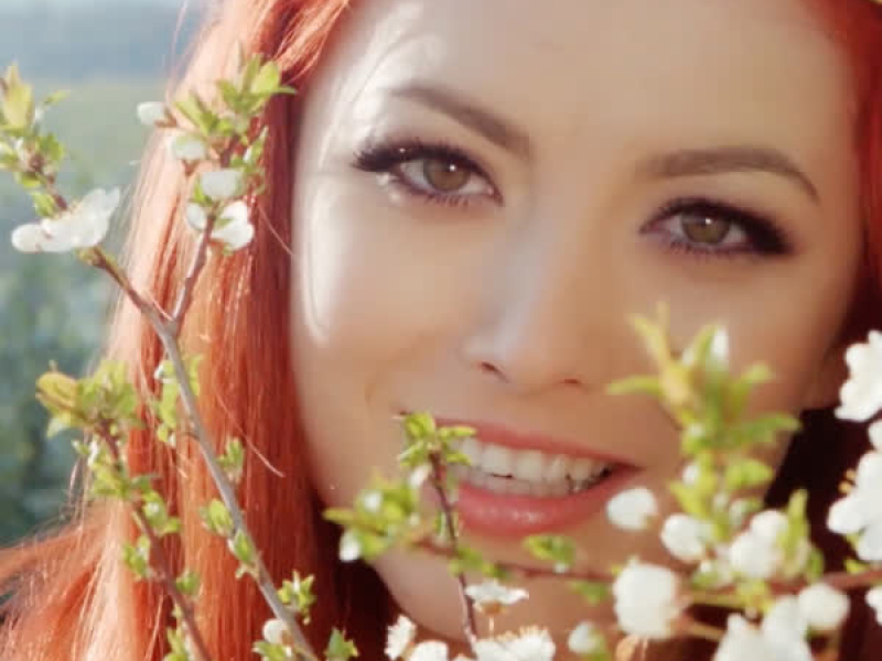 De neinlocuit (Single)