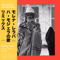 Ho Sama-Sama (Kalahari Surfers Remix) (Single)