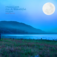 Moonlight On A Beautiful Night (Single)