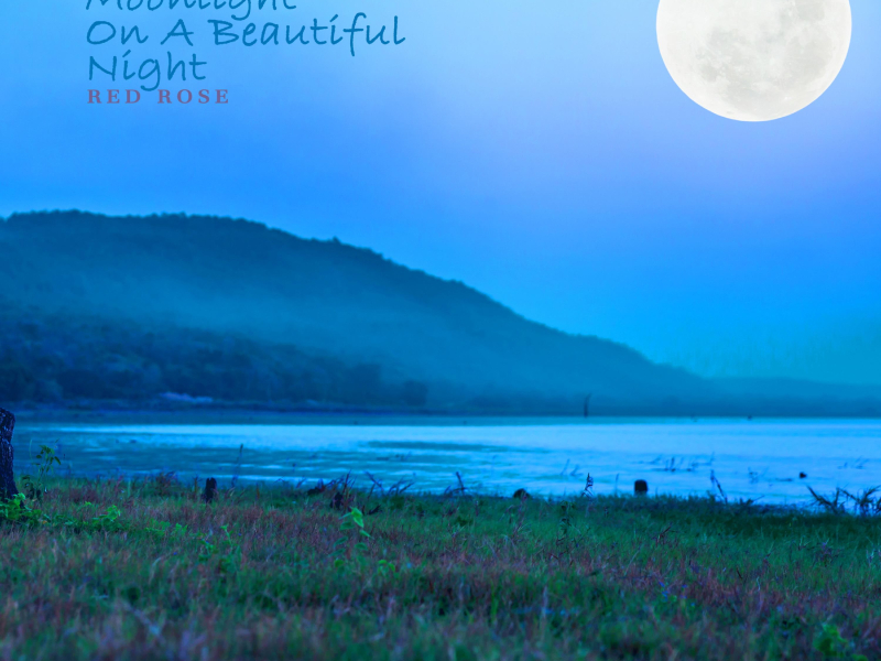 Moonlight On A Beautiful Night (Single)
