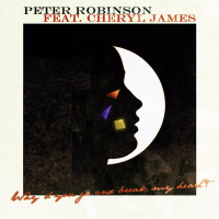 Why'd You Go & Break My Heart? (Single)