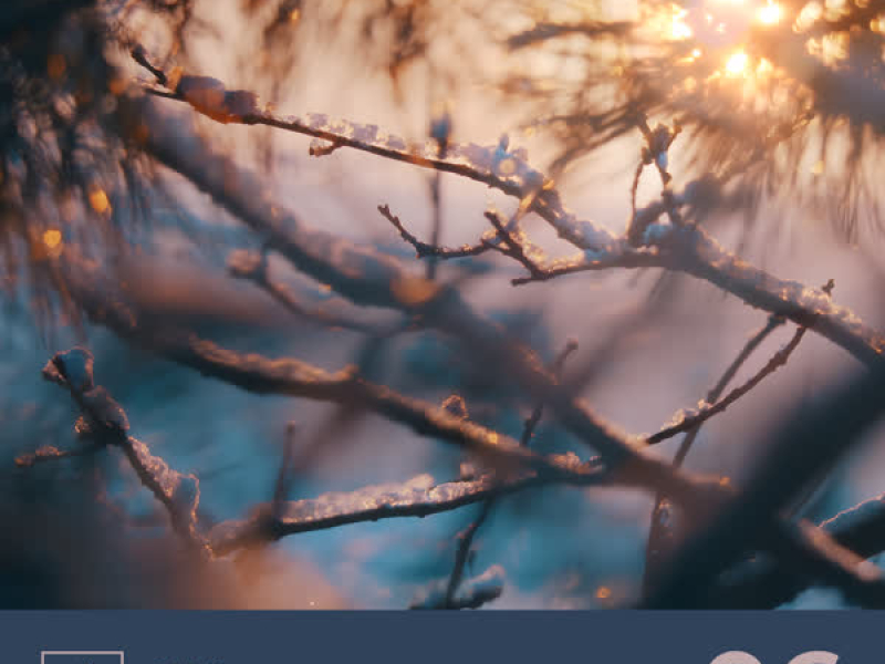 Silk Selections 06 (EP)