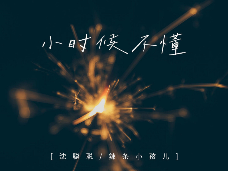 小时候不懂 (Single)