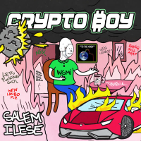 Crypto ₿oy (Single)