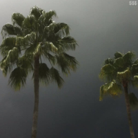 $outh $ide $uicide (EP)