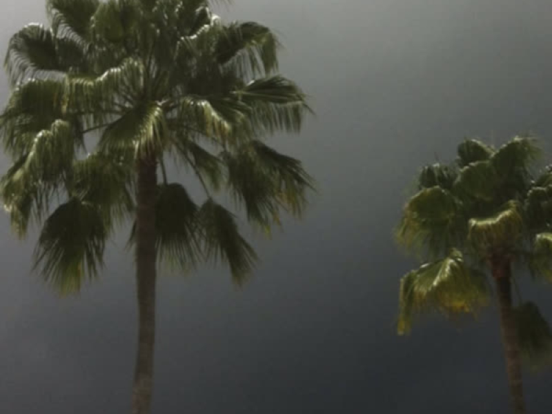 $outh $ide $uicide (EP)