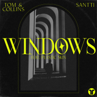 Windows (Single)