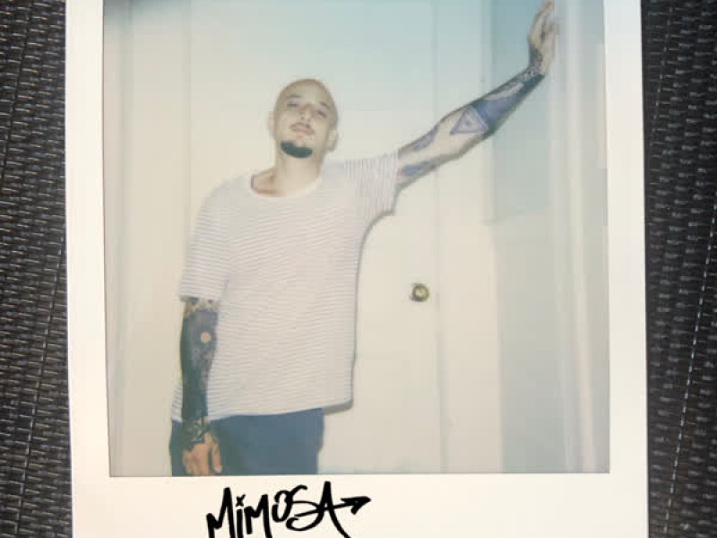 Undercover (feat. Kayla Rae) (Single)