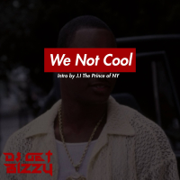 We Not Cool (Single)