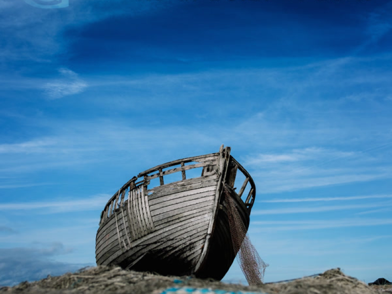 Noah Built A Boat (Single)