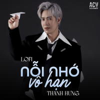 Nỗi Nhớ Vô Hạn (Lofi) (Single)
