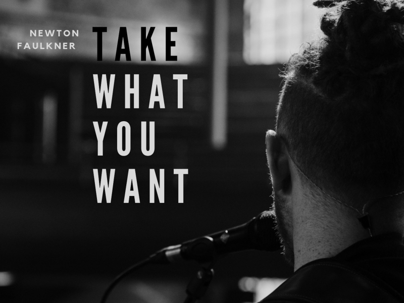 Take What You Want (Single)