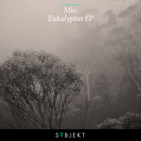 Eukalyptus EP (Single)