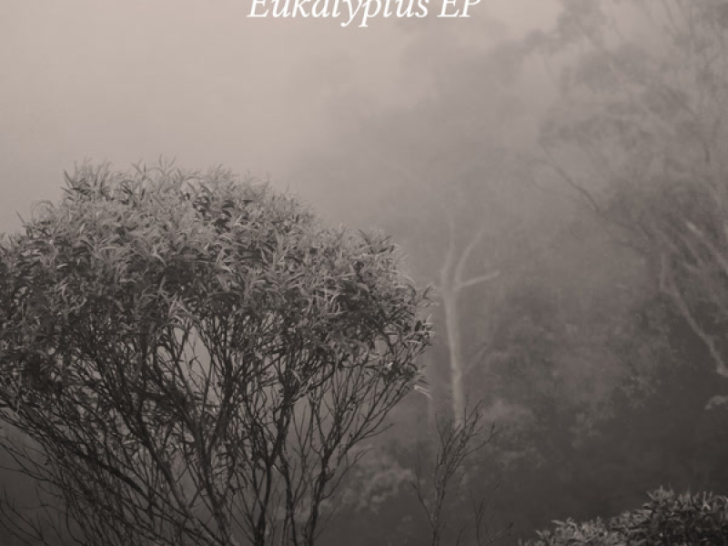 Eukalyptus EP (Single)