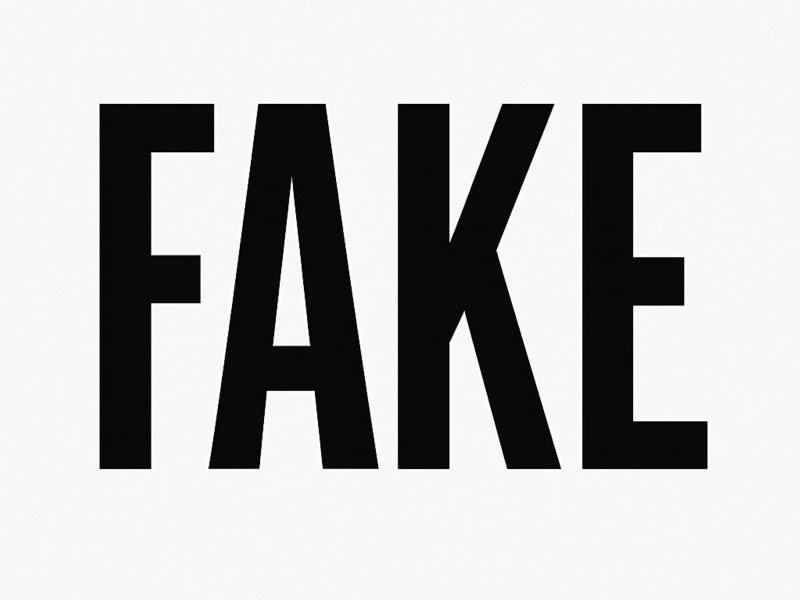 Fake (Single)