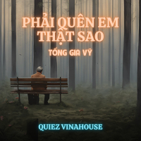 Phải Quên Em Thật Sao (Quiez Vinahouse) (Single)