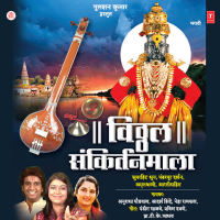 Vitthal Sankirtanmala-( Superhit Dhun,Pandharpur Darshan,Amritwani,Aarti Sahit) (Single)
