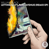 Letting Go (Remixes)