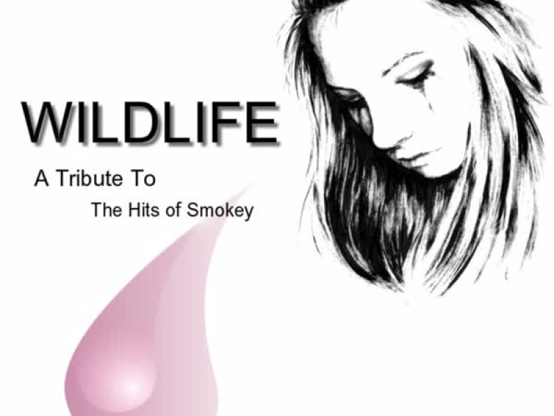 Tribute To The Hits of Smokie, Vol. 2