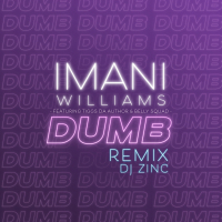 Dumb (DJ Zinc Remix) (Single)
