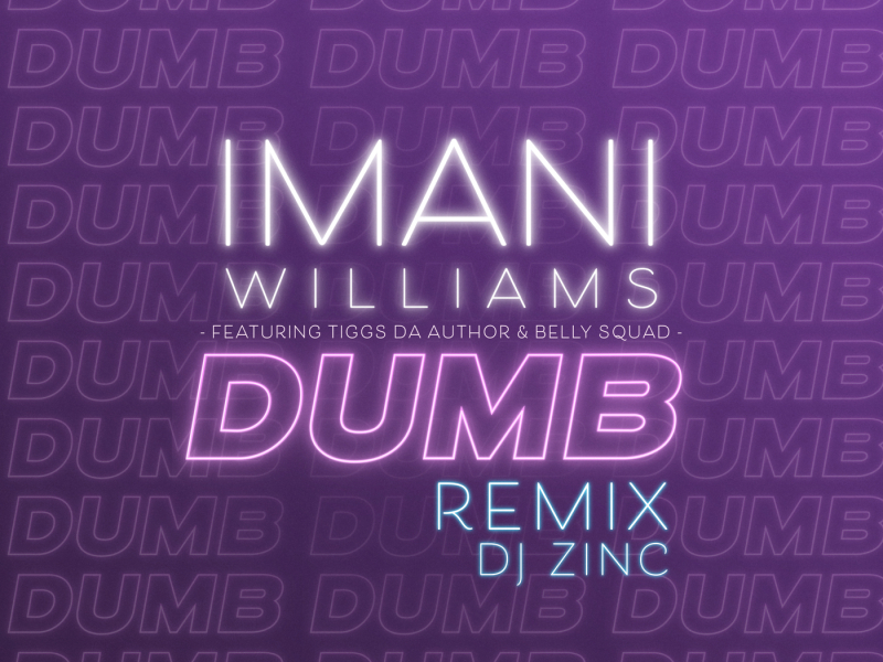 Dumb (DJ Zinc Remix) (Single)
