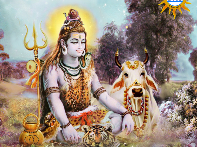 Sri Shaila Vasuniki Mangalam (Single)