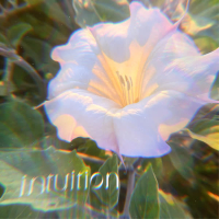 Intuition (EP)