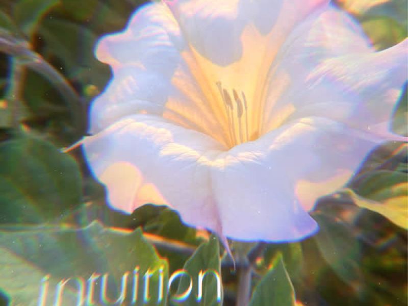 Intuition (EP)