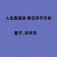人生是减法 来日并不方长 (Single)