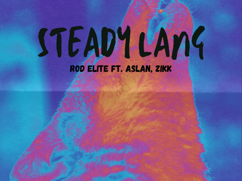 Steady lang (feat. Aslan & Zikk) (Single)