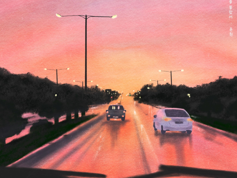 I didn't know we would break up (Single)