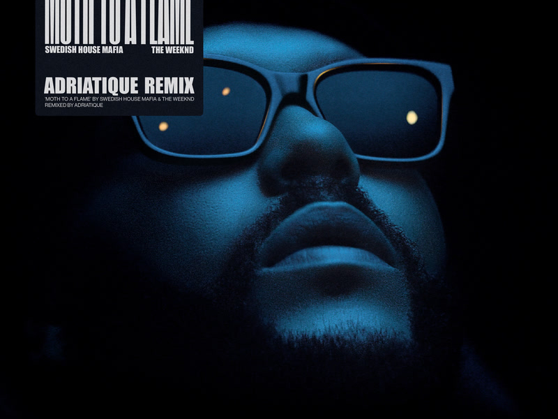 Moth To A Flame (Adriatique Remix) (Single)