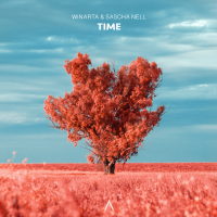 Time (Single)