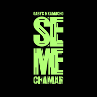 Se Me Chamar (Single)