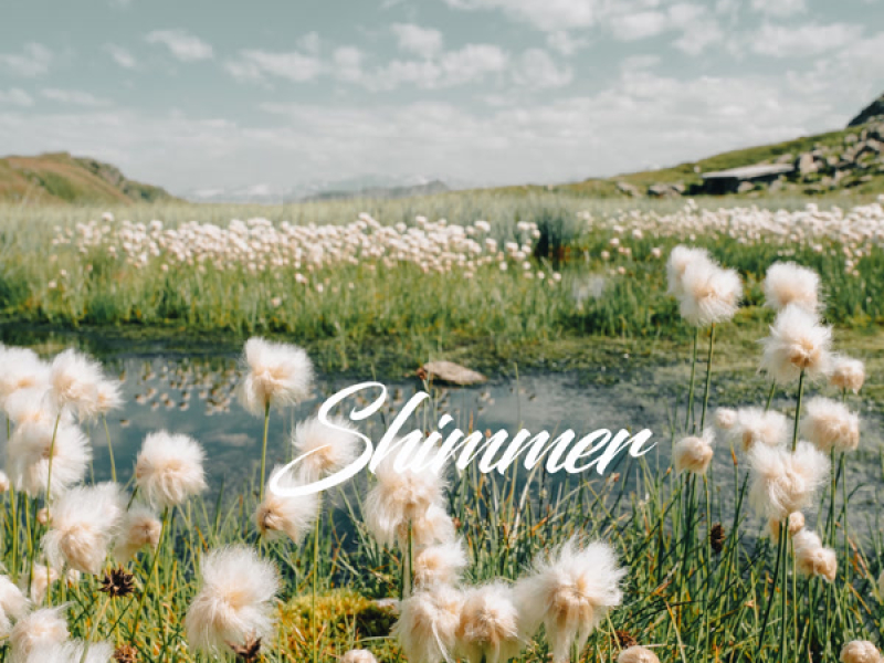 Shimmer (Single)