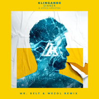 Sinner (Mr. Belt & Wezol Remix) (Single)